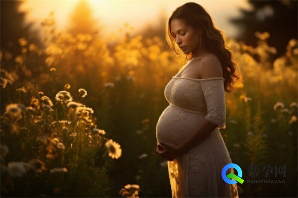 做试管要多少钱？全面解析试管婴儿费用及影响因素