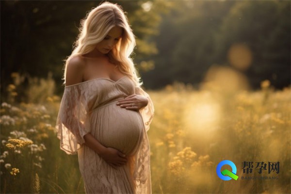 试管大概多少钱？详细解析试管婴儿费用