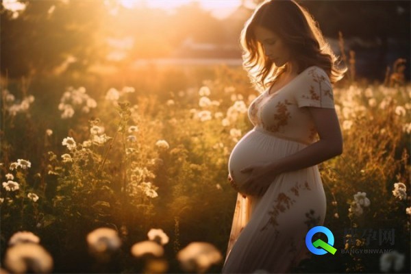 试管男孩多少钱？全面解析试管婴儿费用及影响因素