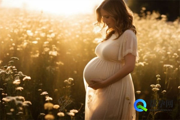 女生备孕必知：哪些碱性食物助孕效果最佳？