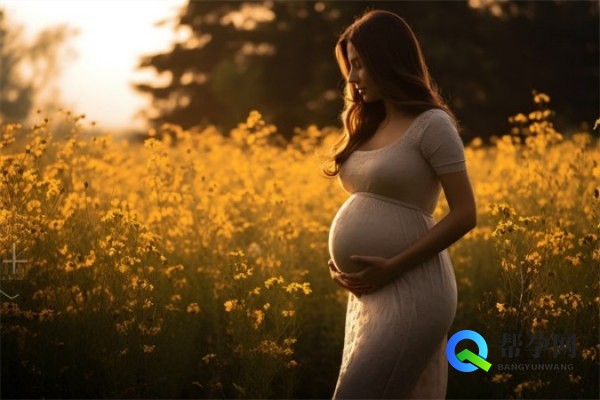 备孕吃哪些强碱性食物？帮你科学备孕，迎接健康宝宝