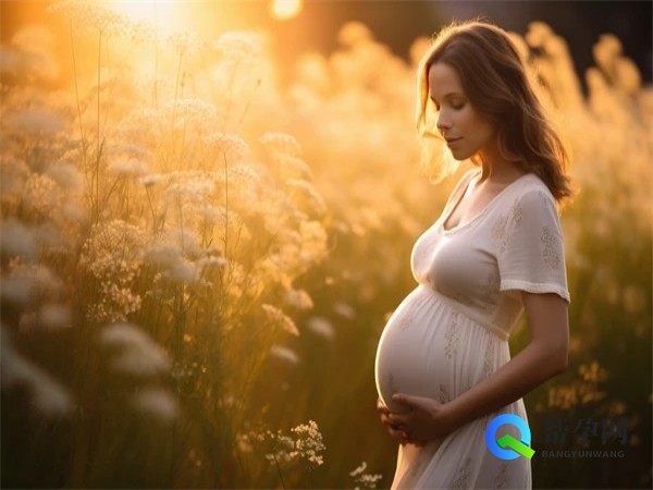 多囊如何调理才能怀孕？帮孕网为你提供专业建议