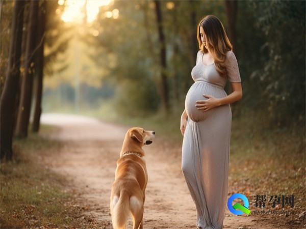 同房有哪些小技巧