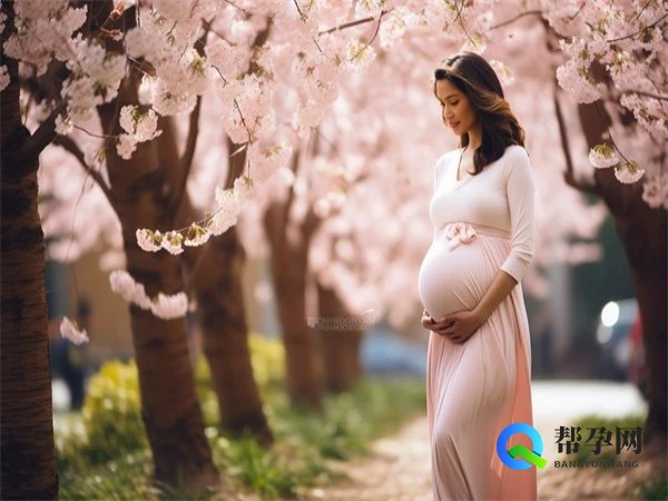 女生备孕注意哪些食物？帮孕网权威指南