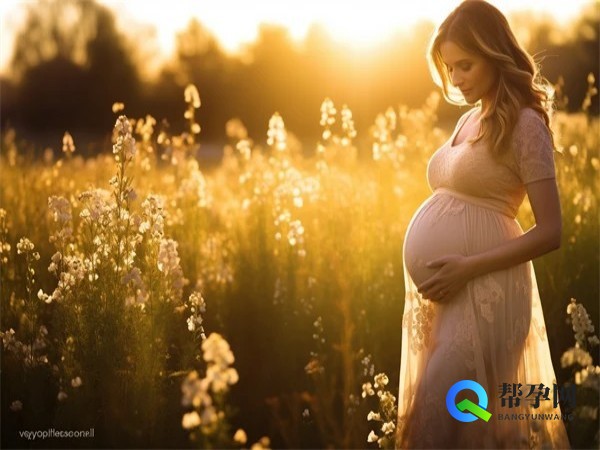 备孕哪些食物含铁？科学饮食助力宝宝健康发育