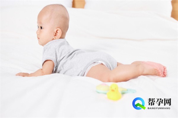 甲减备孕忌口哪些食物？专家建议帮你科学备孕