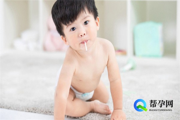 备孕怀孕适合吃哪些食物?科学饮食助力孕育健康宝宝