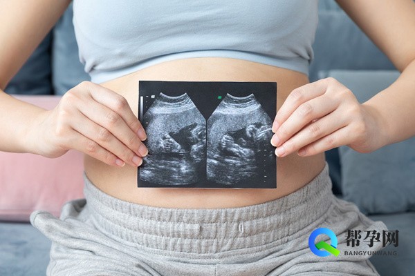 备孕哪些食物含铁较高？科学饮食助力健康怀孕