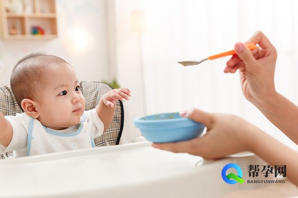 备孕养气血食物都有哪些？科学搭配助孕成功