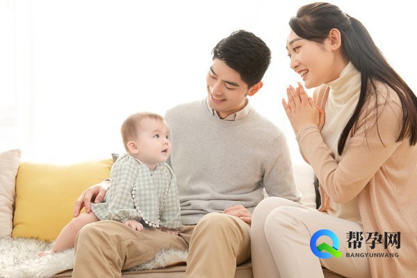 有助备孕的汤料有哪些食物？从营养到食疗全面解析