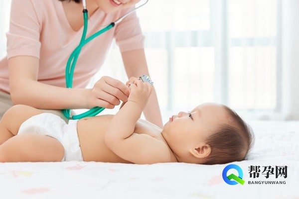 备孕滋补的汤有哪些食物？科学搭配助孕更健康
