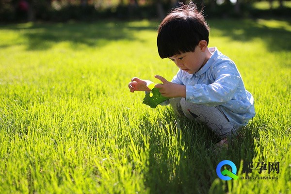 八种备孕食物禁忌有哪些？专家为您详细解答