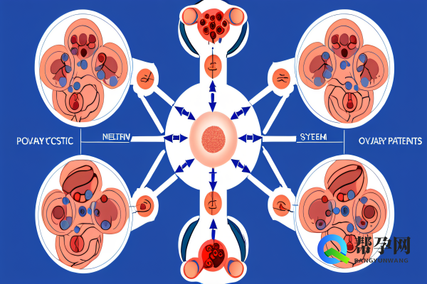 多囊卵巢该怎么食疗？科学饮食调理方案解析