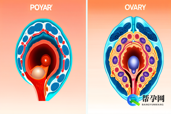 多囊卵巢综合征到底该怎么治疗？