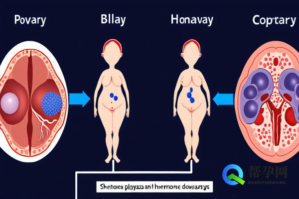 多囊卵巢长痘痘怎么治？帮你找到科学解决方案