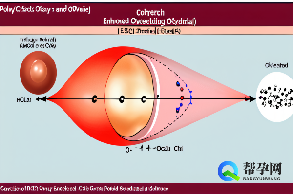 卵巢多囊卵巢如何治疗?帮孕网为您全面解析