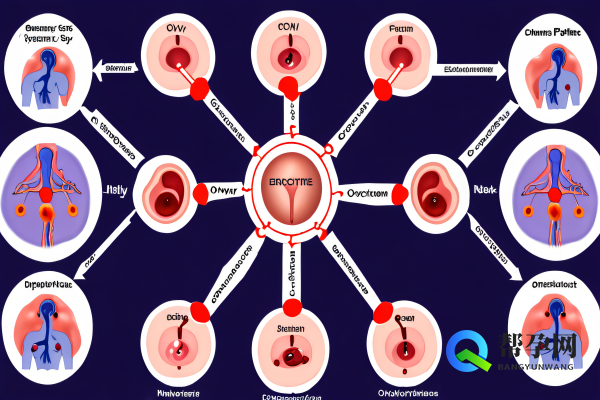 双卵巢多囊怎么查出来？帮孕网告诉你详细检查方法