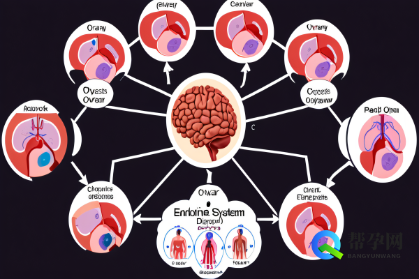 多囊暖巢月经不停怎么办？专业解决方案全解析