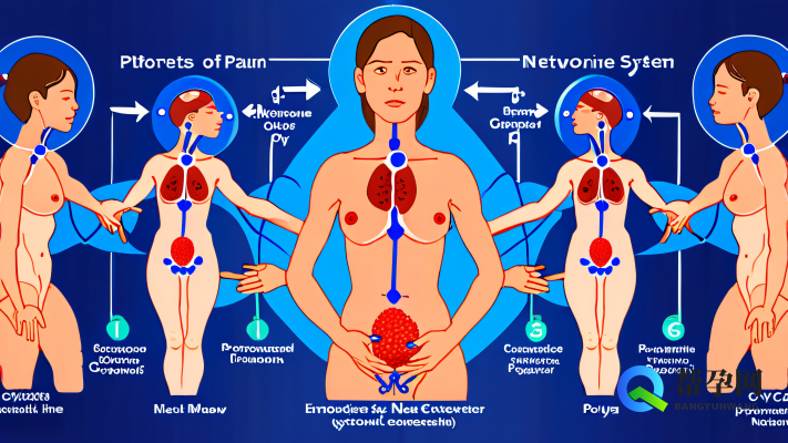 多囊有小肚子吗？怎么治疗？帮孕网为您解答