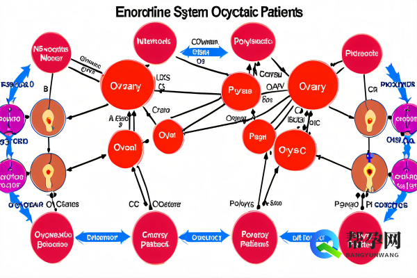 多囊卵巢综合征（PCOS）患者如何怀孕？