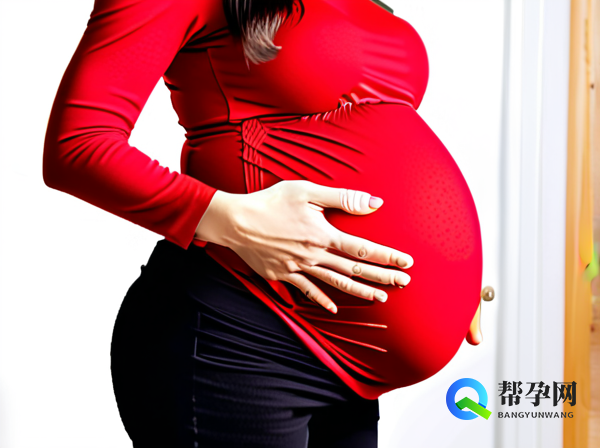 卵泡是什么以及其在女性生育中的关键作用