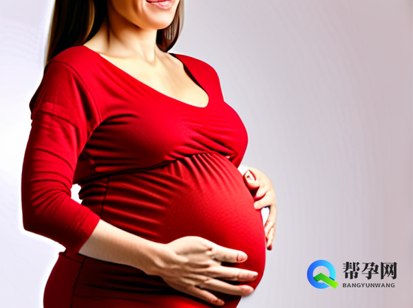 卵泡有回声好还是无回声好?帮孕网为您深度解析