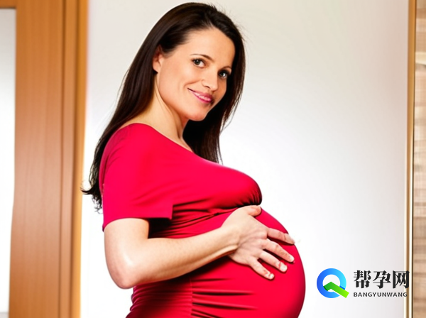 黄体与卵泡的区别及联系:深入解析生殖健康核心概念