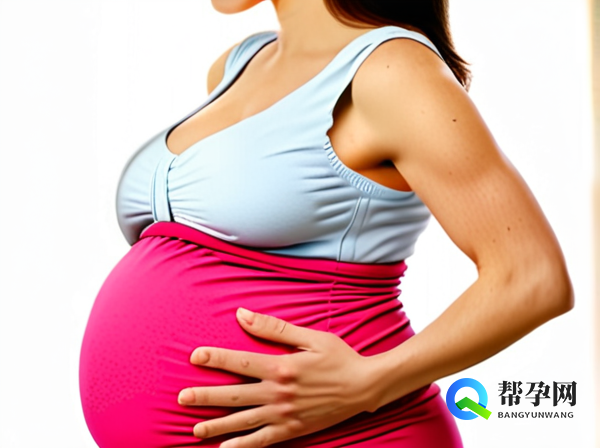 卵泡长什么样子实图解析与健康生育指南