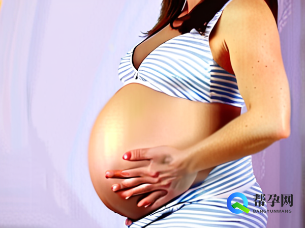 卵泡长什么样子实图解析与健康生育指南