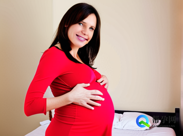 在哪试管婴儿包成功——全面解析试管婴儿成功率的关键因素