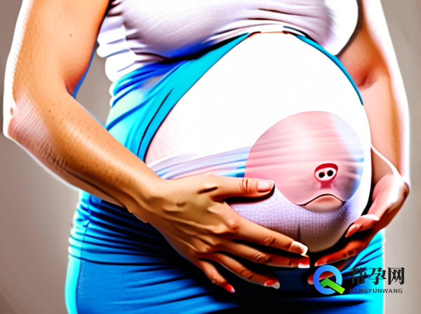 试管婴儿海外包成功：全面解析与帮孕网的专业服务