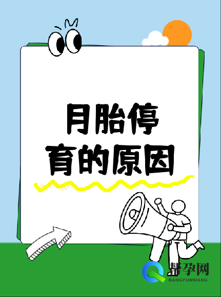 怀孕三个月胎停育的原因分析