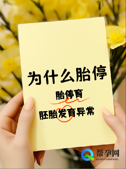 为什么胎停育？科学解析与预防