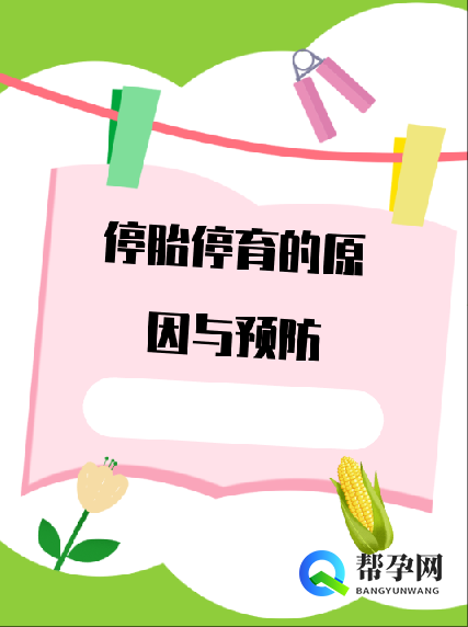 停胎停育的原因与预防
