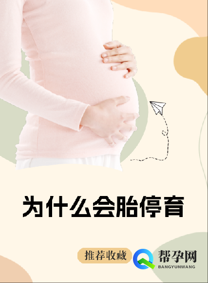 为什么会胎停育