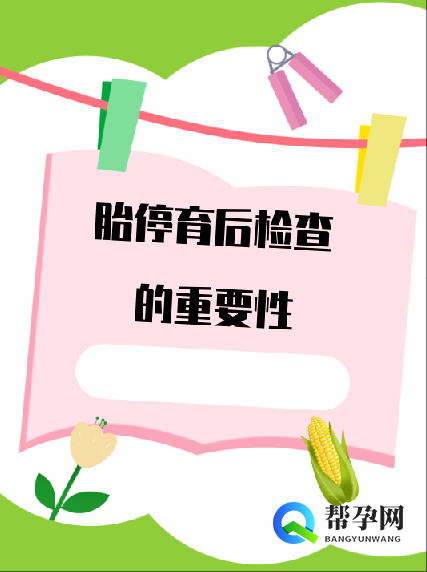 胎停育后检查的重要性