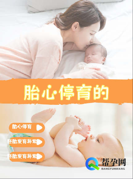 胎心停育的原因与应对