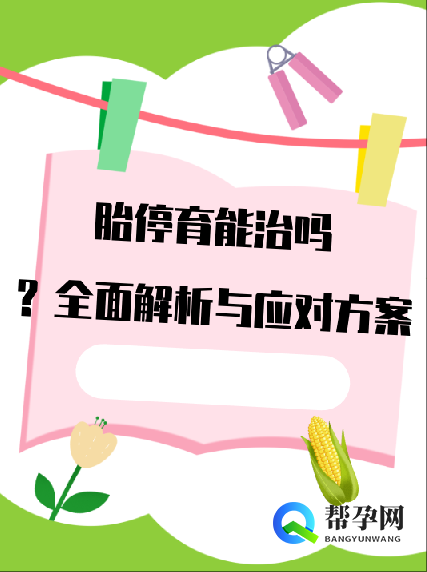 胎停育能治吗？全面解析与应对方案