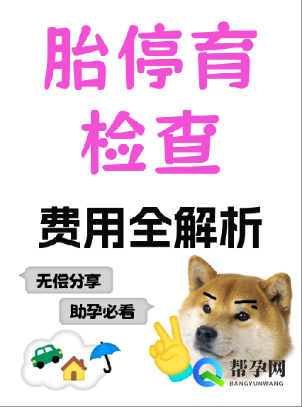 胎停育检查费用全解析