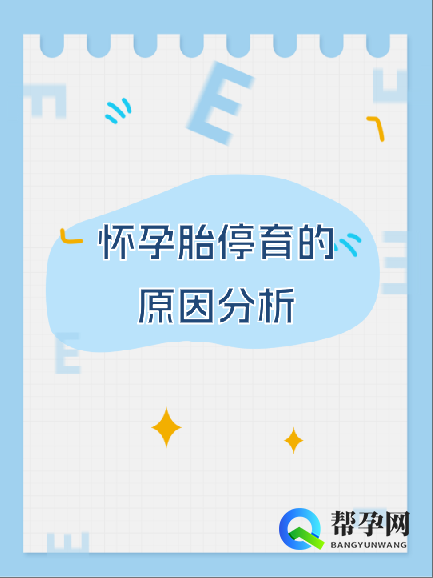 怀孕胎停育的原因分析